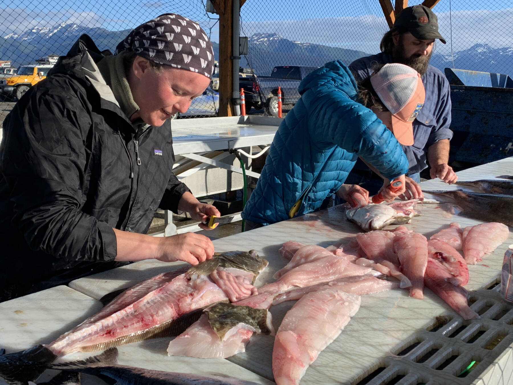 Visitors and community members clean a day’s catch of halibut at a fish cleaning station on Monday, July 3, 2023 on the Homer Spit in Homer, Alaska. Photo by Christina Whiting