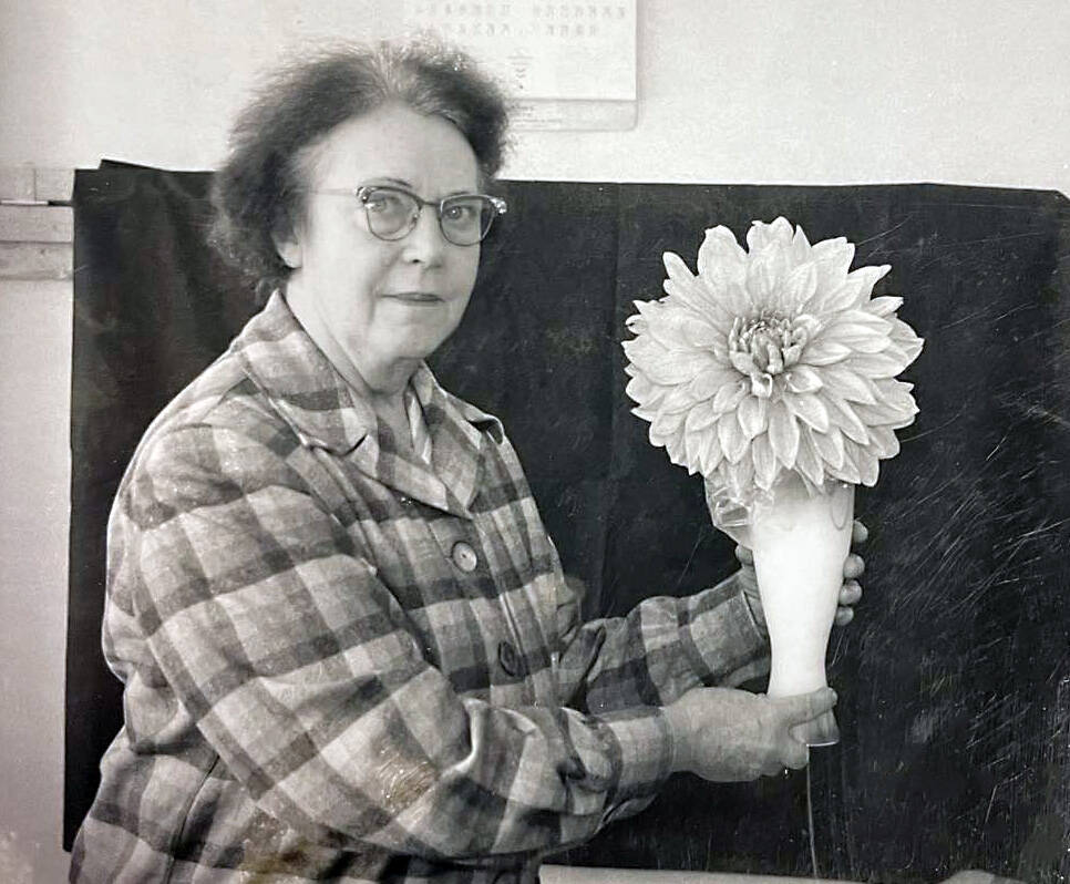 Mable Smith holds a large dahlia grown by her childhood friend Amanda Walker, wife of Kenai’s Pappy Walker, in October 1961. (Cheechako News photo)