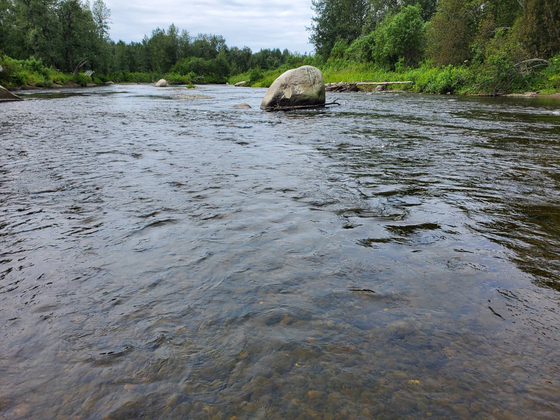 The Anchor River flows in the Anchor Point State Recreation Area on Saturday, Aug. 5, 2023 in Anchor Point, Alaska. (Delcenia Cosman/Homer News)