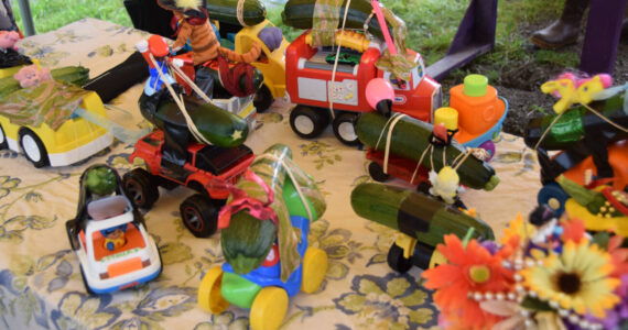 Zucchini cars crafted by participating kids are ready to race at the Homer Farmers Market Zucchini Festival on Saturday, Aug. 26, 2023 in Homer, Alaska. (Delcenia Cosman/Homer News)