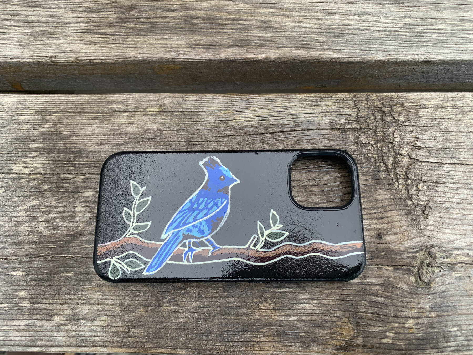 A cell phone case shows a commissioned painting of a blue jay by Daisy Walker in the summer of 2023. Photo provided by Daisy Walker