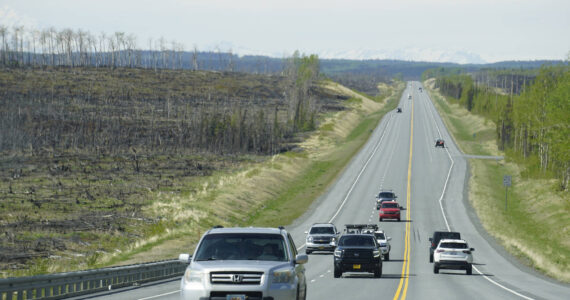 The Sterling Highway cuts through areas of the Kenai National Wildlife Refuge where burns from the Swan Lake can be seen, Sunday, May 22, 2022. (Photo by Michael Armstrong/Homer News)