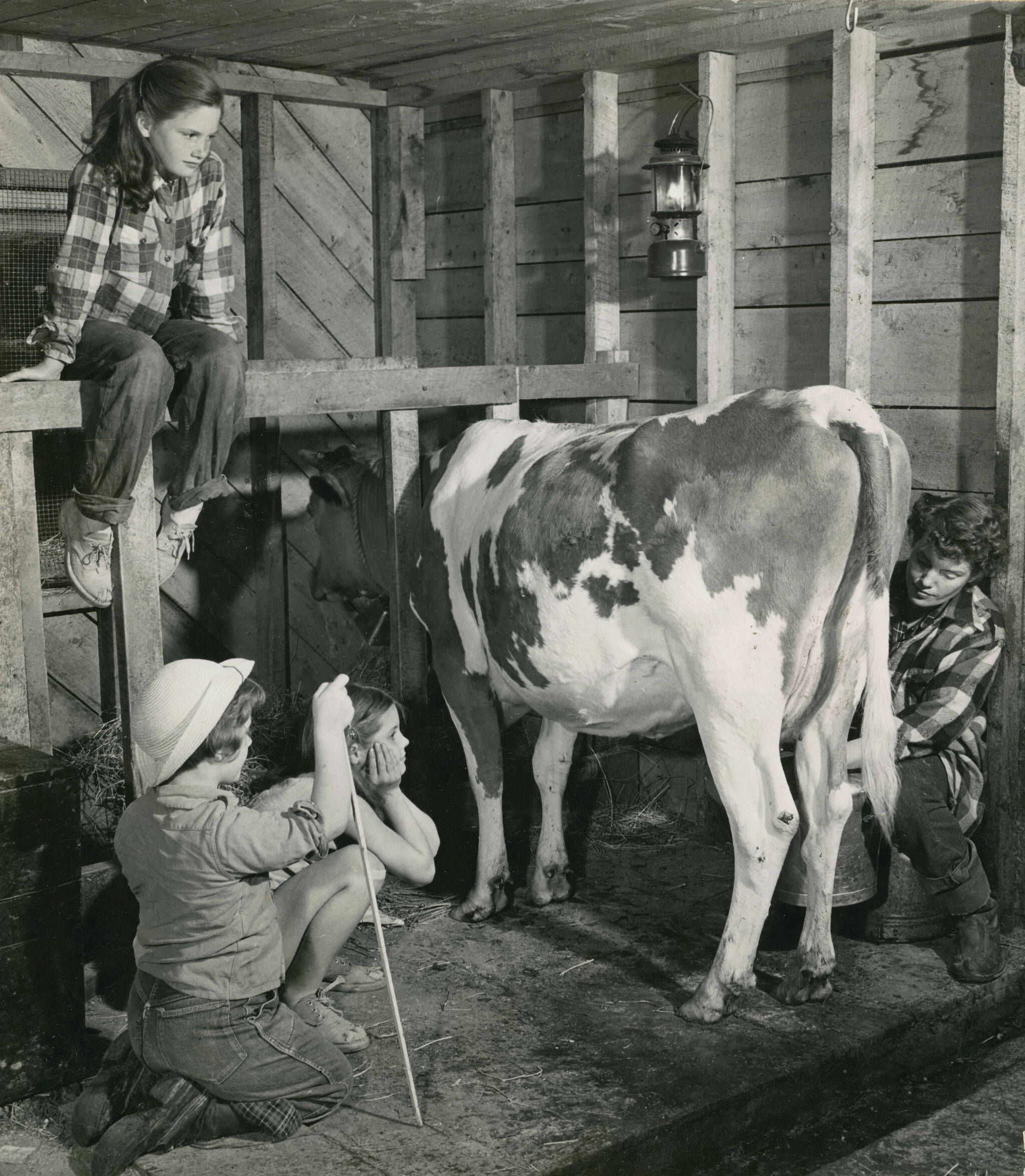 Rusty Lancashire milks the family cow while her daughters (Martha, above, and, L-R, Abby and Lori) watch. (1954 photo by Bob and Ira Spring for Better Homes & Garden magazine)