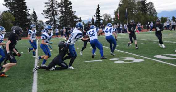 A Homer player tackles one of the Palmer Moose at the homecoming game versus Palmer on Friday, Sept. 8, 2023 in Homer, Alaska. (Delcenia Cosman/Homer News)