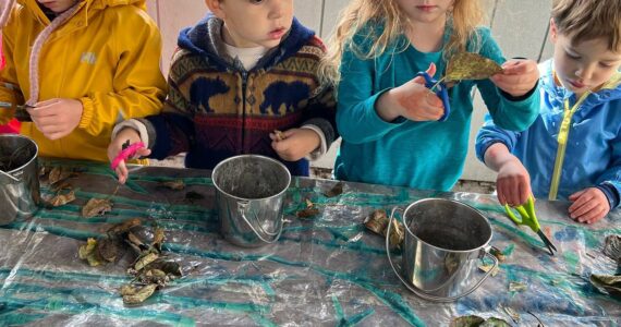 Students attending Sprouts Preschool make magic wands out of leaves in Seward, Alaska. (Photo courtesy Seward Sprouts Preschool)