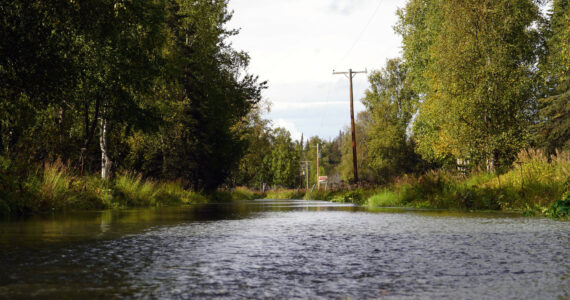 Water flows over Big Eddy Road in Soldotna, Alaska, on Wednesday, Sept. 13, 2023. (Jake Dye/Peninsula Clarion)