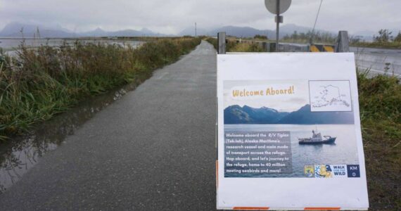 A close look at the beginning checkpoint for the Walk for the Wild 5k on Saturday, Sep. 30, 2023 in Homer, Alaska. (Finn Heimbold/Homer News)