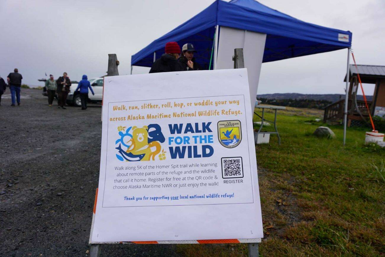 Local staff and volunteers helpers for both the U.S. Fish and Wildlife Service and the Friends of Alaska Wildlife Refuges help set up the visitor center for incoming participants on Sunday, Sep. 30, 2023 in Homer, Alaska. (Finn Heimbold/Homer News)