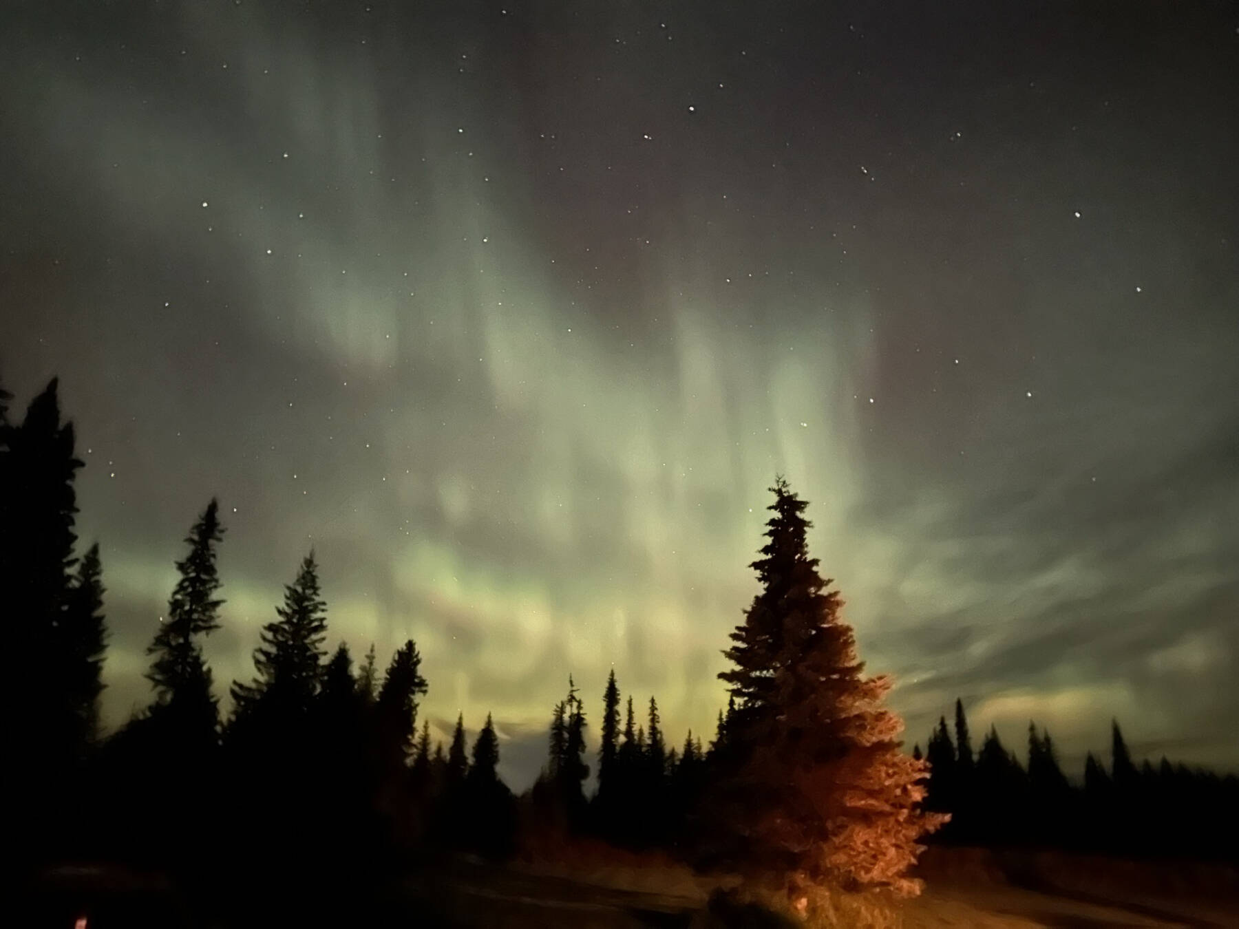 The aurora dances in the autumn sky early Tuesday morning on Sept. 26, 2023 near Black Water Bend in Anchor Point, Alaska. (Callie Steinberg/Homer News)