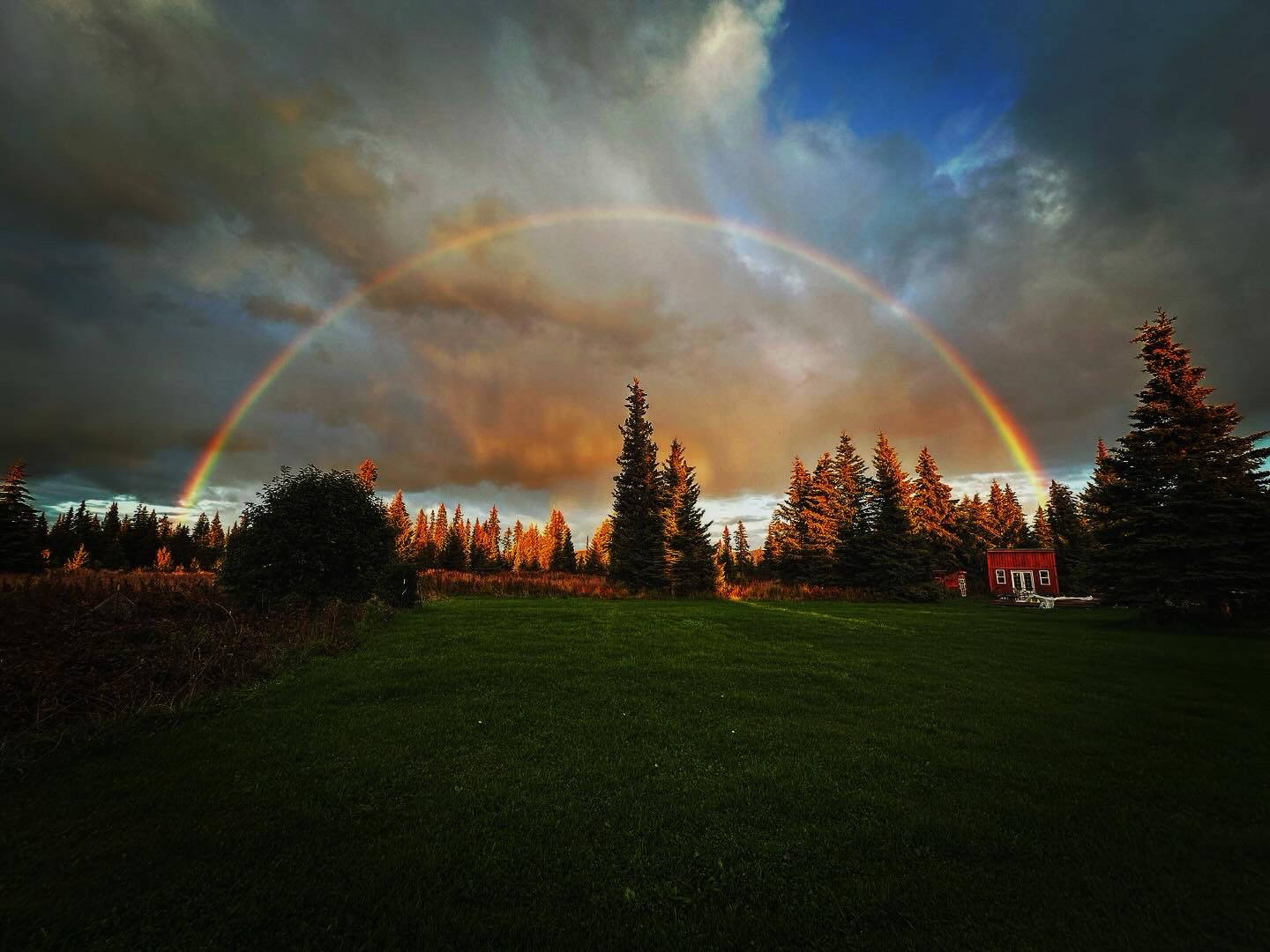 A rainbow arches through the sky on Friday, Sept. 22, 2023 near Black Water Bend in Anchor Point, Alaska. (Callie Steinberg/Homer News)