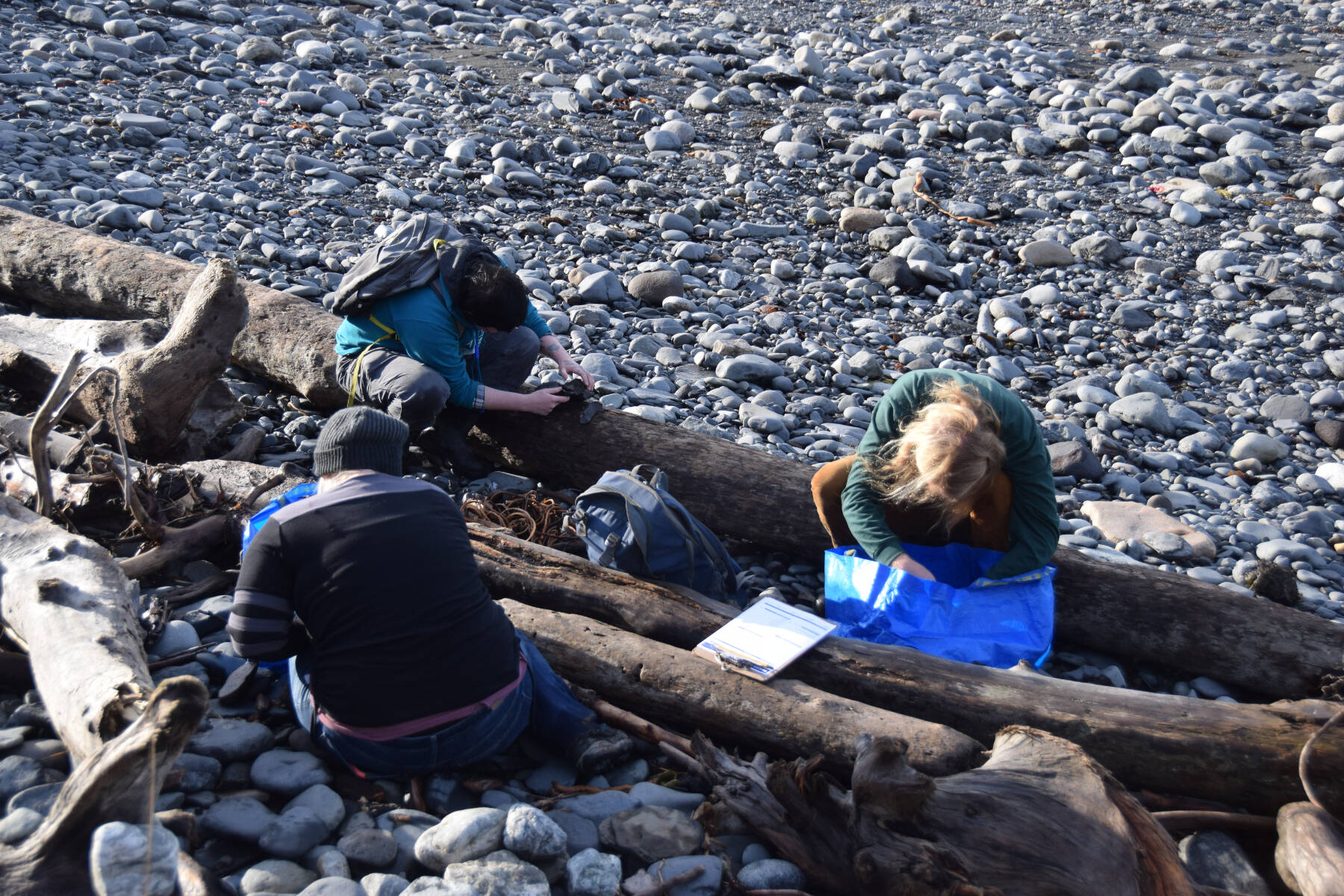 Volunteers pick up and document marine debris during the Center for Alaskan Coastal Studies’ CoastWalk clean-up on the beach at Diamond Creek on Saturday, Oct. 7, 2023 in Homer, Alaska. (Finn Heimbold/Homer News)