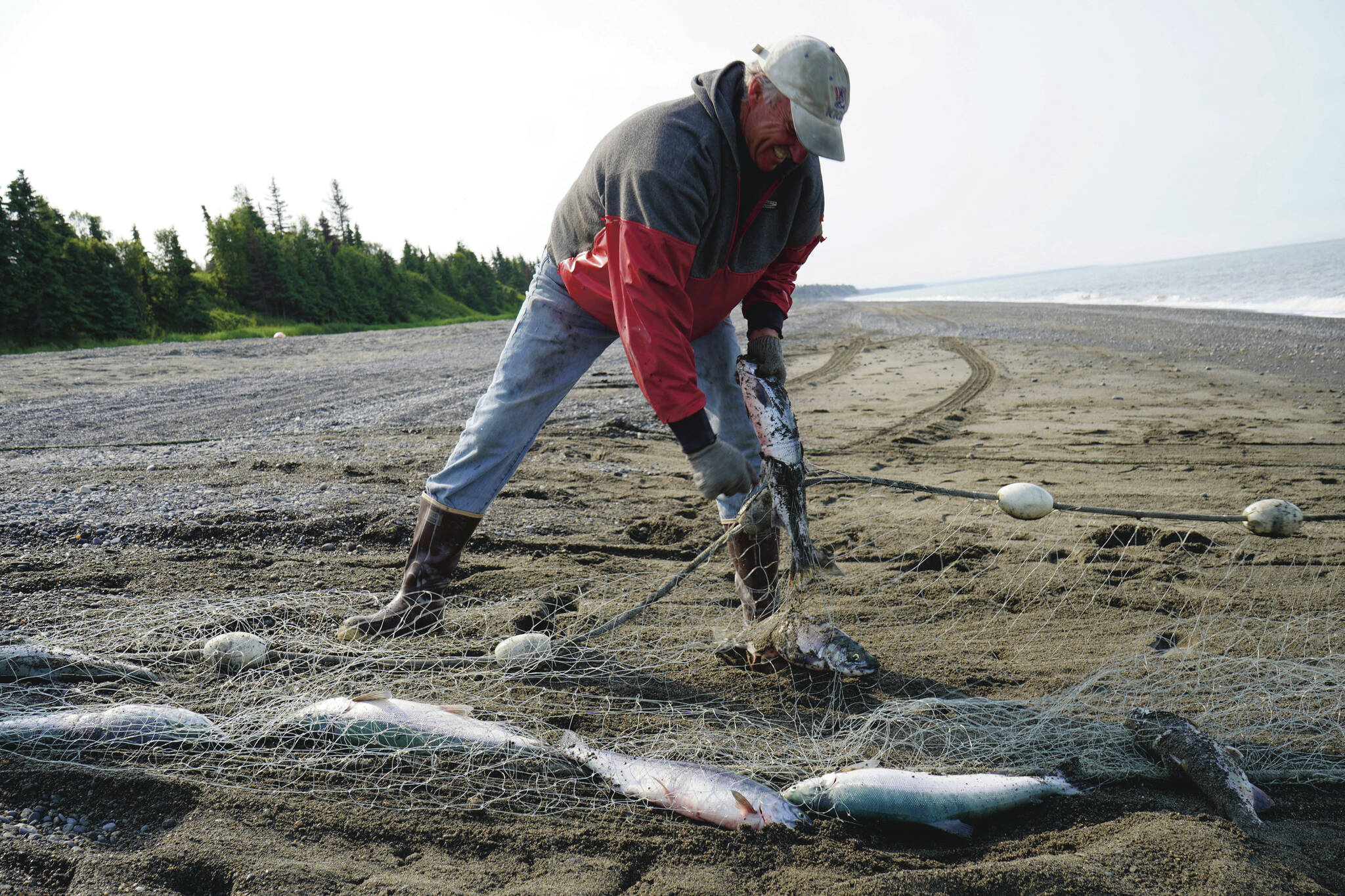 Gary Hollier pulls a sockeye salmon from a set gillnet at a test site for selective harvest setnet gear in Kenai, Alaska, on Tuesday, July 25, 2023. (Jake Dye/Peninsula Clarion)