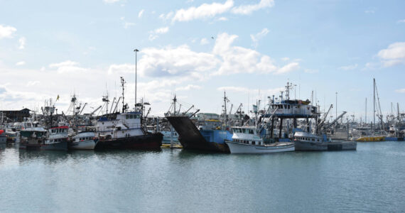The Homer Harbor is photographed on Saturday, May 20, 2023. (Emilie Springer/Homer News)