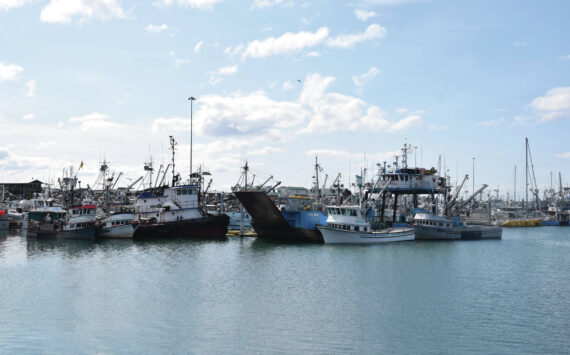 The Homer Harbor is photographed on Saturday, May 20, 2023. (Emilie Springer/Homer News)