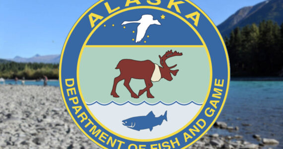 Alaska Department of Fish and Game logo. (Graphic by Jake Dye/Peninsula Clarion)
Alaska Department of Fish and Game logo. (Graphic by Jake Dye/Peninsula Clarion)