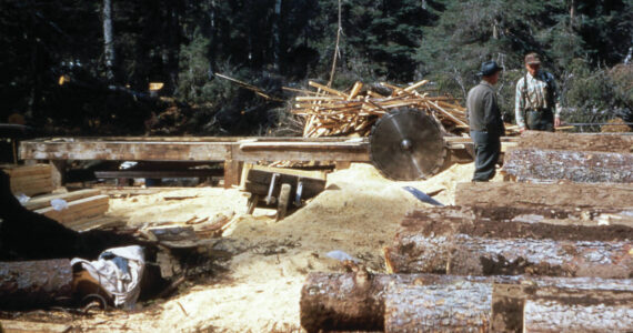 Louvie “Vi” Chapman photo courtesy of the Pratt Museum
Lawrence Keeler (right) talks at his Anchor Point sawmill with Sherman Chapman in 1950. Keeler was cutting spruce logs for Chapman’s home.