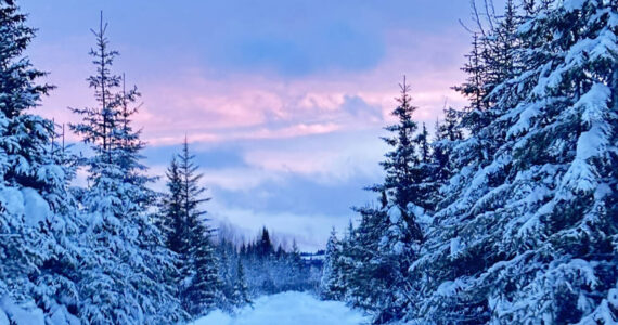 A winter sunset colors the sky at the end of a snow-lined road near Anchor Point, Alaska on Monday, Jan. 1, 2023. (Callie Steinberg/Homer News)