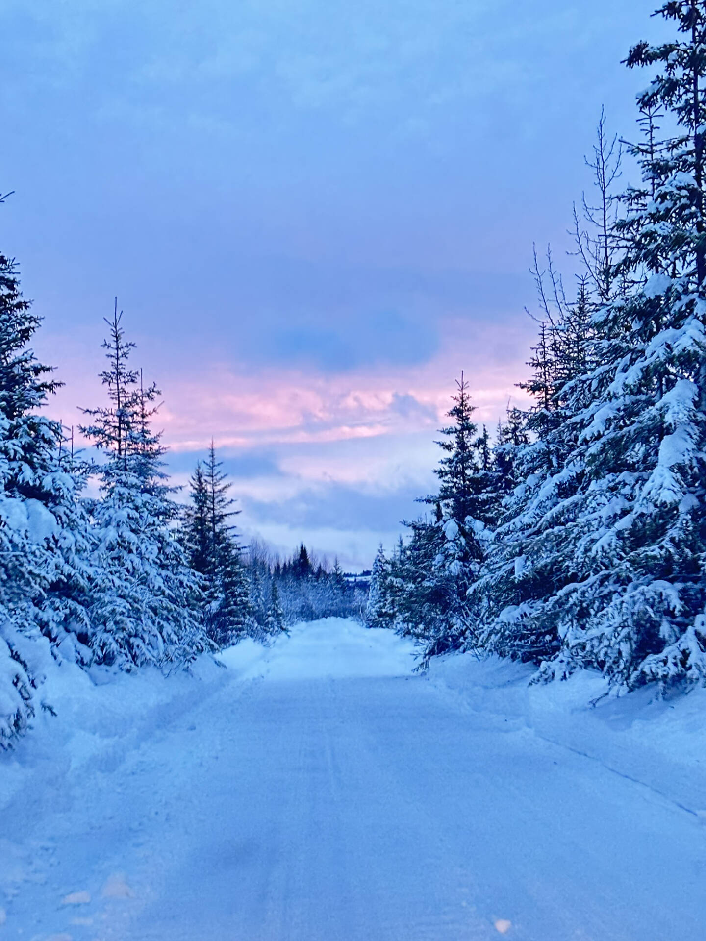 A winter sunset colors the sky at the end of a snow-lined road near Anchor Point, Alaska on Monday, Jan. 1, 2023. (Callie Steinberg/Homer News)
