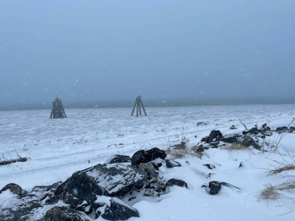 Sea ice fills up Kachemak Bay around the Homer Spit on Saturday, Feb. 3, 2024 in Homer, Alaska. (Emilie Springer/Homer News)