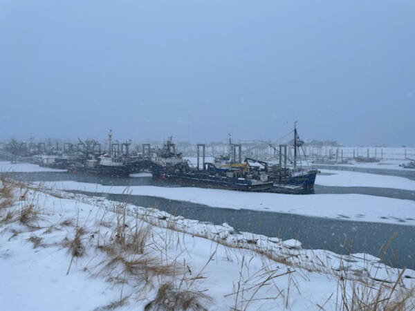 Ice builds up in the Homer Harbor on Saturday, Feb. 3, 2024 in Homer, Alaska. (Emilie Springer/Homer News)