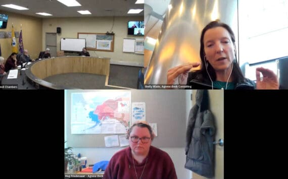 The Comprehensive Plan Steering Committee (top left) meets with Agnew::Beck consultants Shelly Wade (top right) and Meg Friedenauer (bottom) over Zoom on Monday, Feb. 5<ins>, 2024 in Homer, Alaska</ins>. Screenshot.