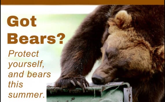 Flier for Bear Awareness and Electric Fencing Workshops. (Provided by Defenders of Wildlife)