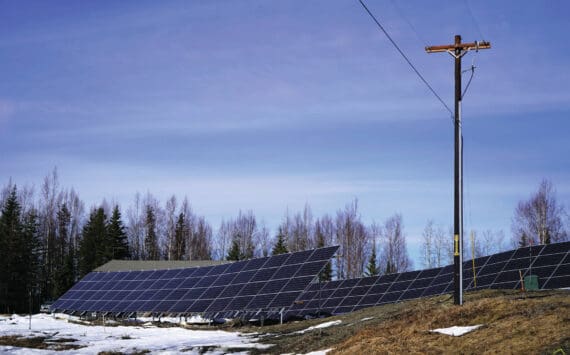 An array of solar panels stand in the sunlight at Whistle Hill in Soldotna, Alaska, on Sunday, April 7, 2024. (Jake Dye/Peninsula Clarion)