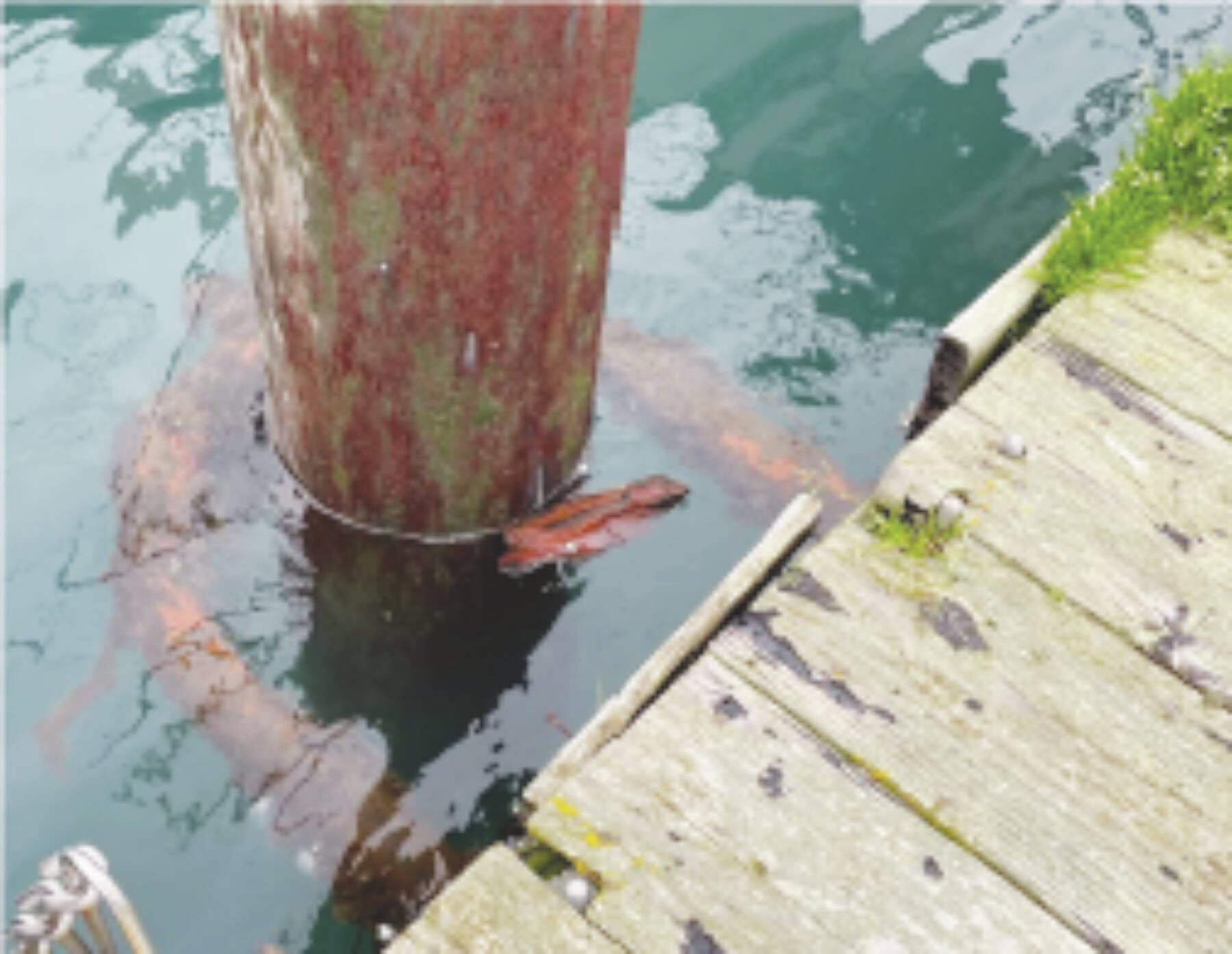 Example of Homer Harbor float damage: low freeboard resulting in submerged pile collar, corroding hardware connections, with connections protruding through decking.  Photo provided by the City of Homer.