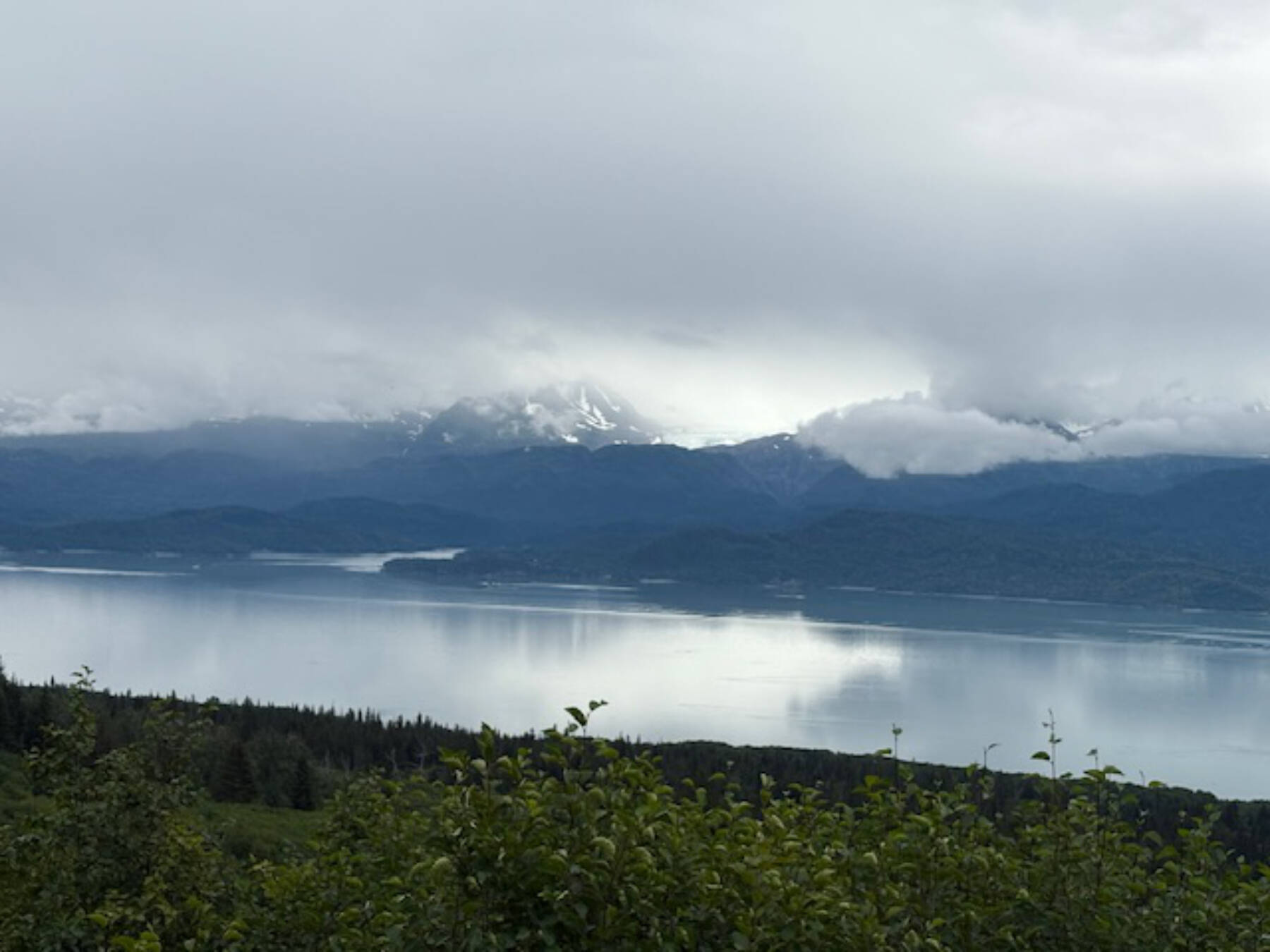 The view from the trail at Eveline State Recreation Site on Saturday, Aug. 9, 2025, during the inaugeral 5K hosted by Kachemak Bay Running Club. (Photo courtesy of Michael Murray)