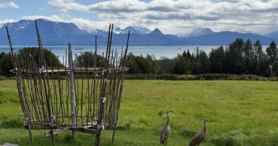 The beginning of this year's Burning Basket on Monday, Aug. 25, 2025. (Chloe Pleznac/Homer News)