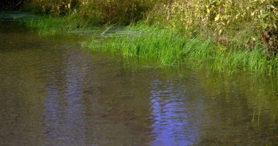 Water pools alongside Big Eddy Road in Soldotna, Alaska, on Wednesday, Sept. 13, 2023. (Jake Dye/Peninsula Clarion)