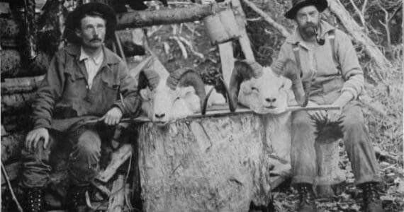 Photo from Marshall Scull’s 1914 memoir, Hunting in the Arctic and Alaska
Ferdinand “Fritz” Posth, left, poses with two Dall sheep heads and fellow guide/packer William “Wild Bill” Dewitt at a cabin on upper Killey River in the early 1910s. When King David Thurman was arrested for a game violation in 1911, Posth testified against him, but some jurors discounted his testimony and declined to convict Thurman.