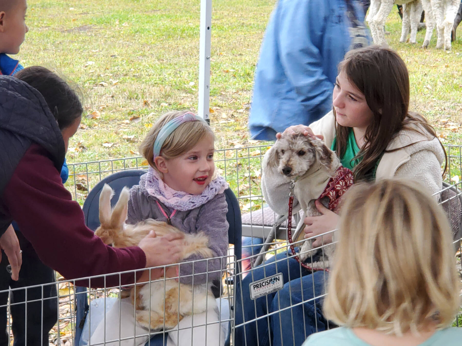 Kids and adults alike enjoy the petting zoo provided by the Anchor River Llama Alpaca Ranch and Backyard Dreams Farm during the Anchor Point Food Pantrys Frontier Days fundraiser browse through silent auction items on Saturday, Oct. 4, 2025, at the VFW Post 10221 in Anchor Point, Alaska. (Delcenia Cosman/Homer News)