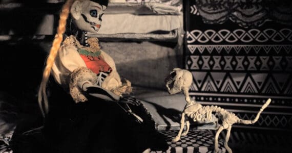 Martha Colburn's video, "Day of Dutch," will screen as part of Bunnell Street Art Center's FilmJam on Nov. 1, 2025, in Homer, Alaska. Photo provided by Bunnell Street Arts Center