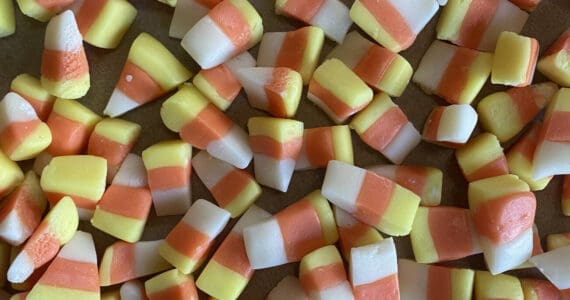 The hardest part of making this classic Halloween treat is getting started, and maybe not burning your fingers. Photo by Tressa Dale/Peninsula Clarion