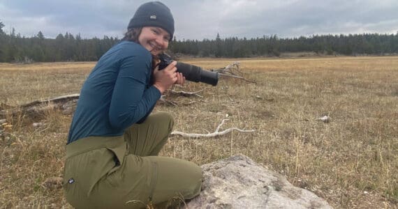 New Peninsula Clarion reporter Chloe Anderson photographs bison in Yellowstone National Park on Oct. 17, 2025. Photo provided by Chloe Anderson