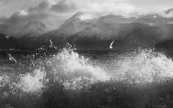 "Tern Tern Tern," a photograph captured by Taz Tally in 2019, is one of several images on display through November in his solo exhibit at the Art Shop Gallery in Homer, Alaska. Photo provided by Taz Tally