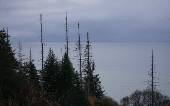Low clouds hang over Cook Inlet north of Anchor Point on Oct. 23, 2025. The Trump administration is planning an oil and gas lease sale in federal territory of the inlet. It is set to be the first of at six Cook Inlet lease sales that Congress has mandated by held between now and 2032. (Photo by Yereth Rosen/Alaska Beacon)
