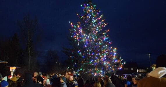 The Christmas tree behind the Homer Chamber of Commerce and Visitor Center is lit on Thursday, Dec. 4, 2025, during the annual holiday tree lighting ceremony sponsored by the chamber in Homer, Alaska. (Delcenia Cosman/Homer News)