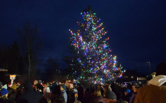 The Christmas tree behind the Homer Chamber of Commerce and Visitor Center is lit on Thursday, Dec. 4, 2025, during the annual holiday tree lighting ceremony sponsored by the chamber in Homer, Alaska. (Delcenia Cosman/Homer News)