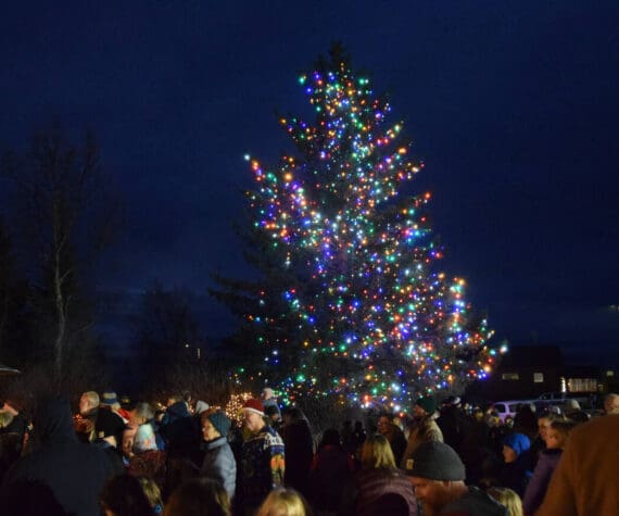 The Christmas tree behind the Homer Chamber of Commerce and Visitor Center is lit on Thursday, Dec. 4, 2025, during the annual holiday tree lighting ceremony sponsored by the chamber in Homer, Alaska. (Delcenia Cosman/Homer News)