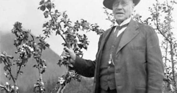 Prof. C.C. Georgeson, circa 1910s, inspects an apple tree on one of his Alaska agricultural experiment stations. (Image from the Rasmuson Library historical archives at the University of Alaska Fairbanks)