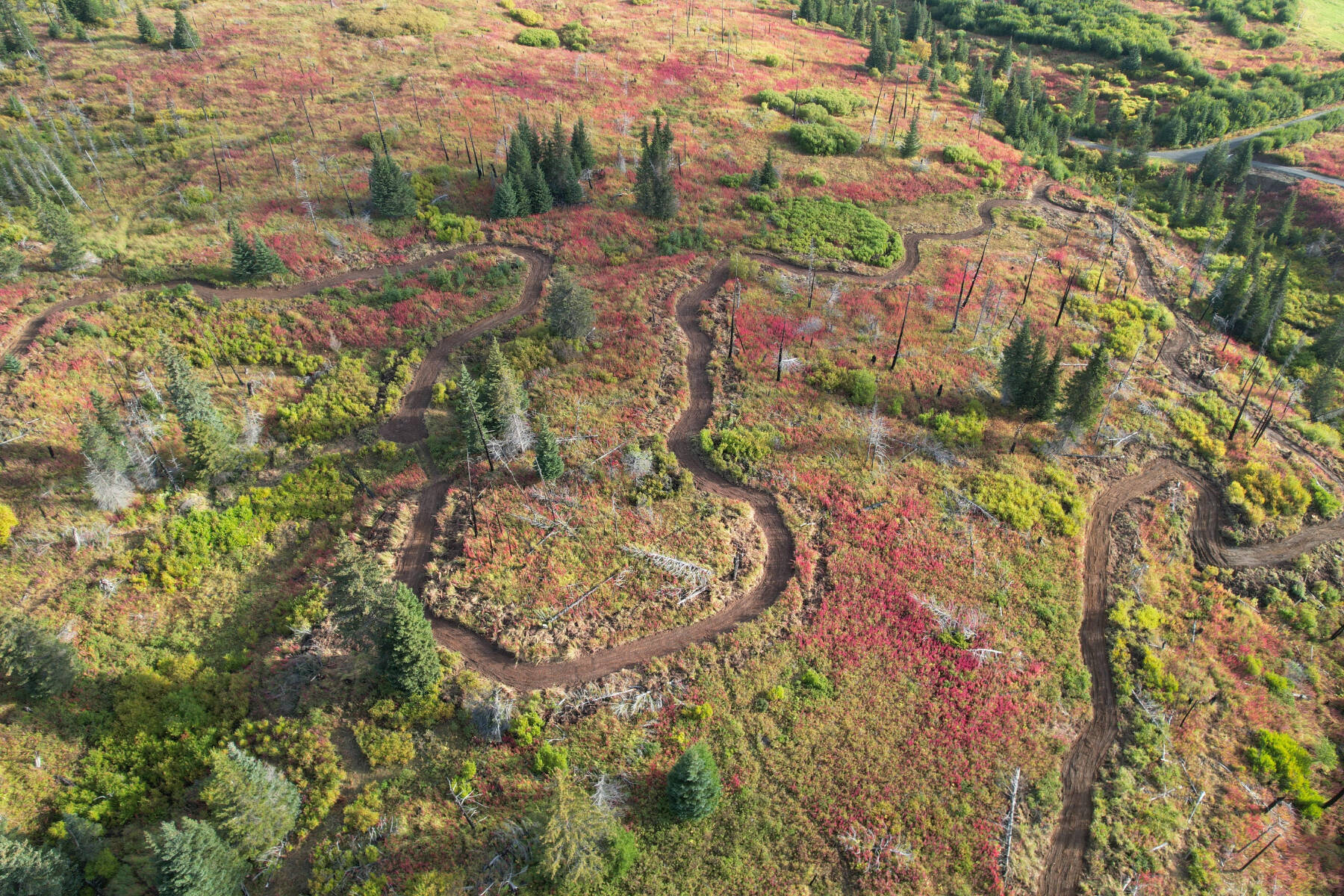 An aerial view of the Eastland Trails project shows the trails under construction during the summer of 2025 in the Kachemak Bay State Park near Homer, Alaska. Photo courtesy Stein Christopher