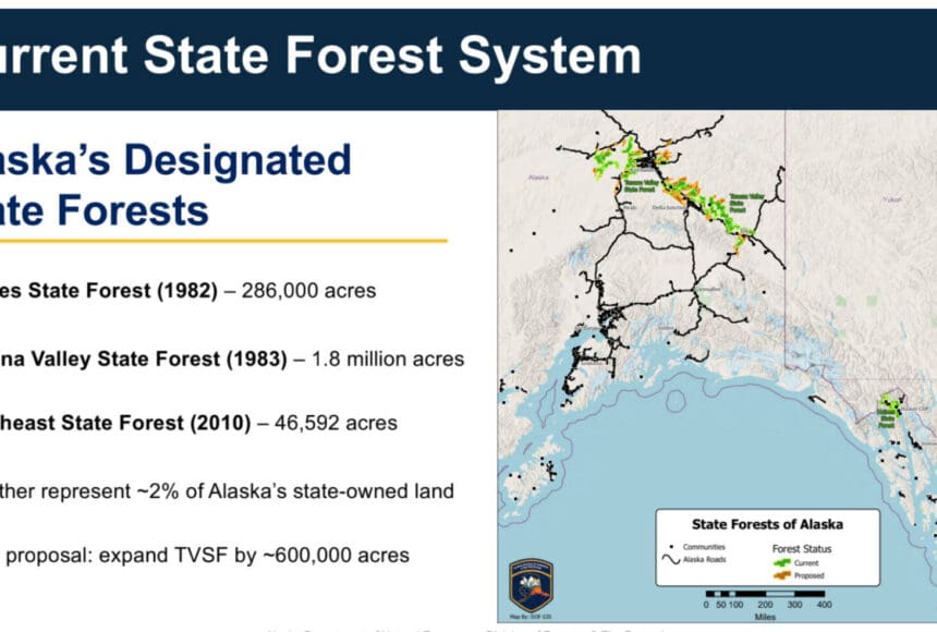 <p>A map presented by the Alaska Department of Natural Resources during a virtual meeting on Dec. 11, 2025, shows the location of a potential Kenai Peninsula State Forest. Screenshot.</p>