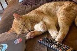 Photo courtesy of Alaska Mindful Paws.