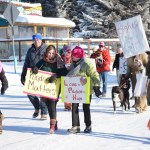 Carnival Homer-Style