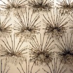 Bunnell artist explores patterns, place