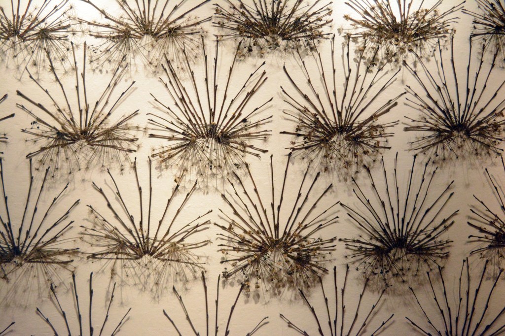 Bunnell artist explores patterns, place