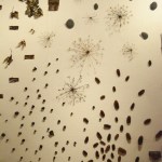 Bunnell artist explores patterns, place