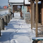 Still sleeping Snow covers the Coal Point boardwalk on the Homer Spit on Tuesday. Tourist shops have been boarded up since Labor Day, but the Spit will see some visitors next month on March 18 for the 24th annual Homer Winter King Salmon Tournament.